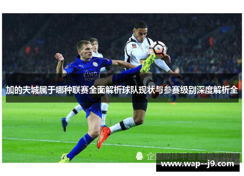 加的夫城属于哪种联赛全面解析球队现状与参赛级别深度解析全